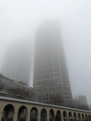 大阪堺市　濃霧