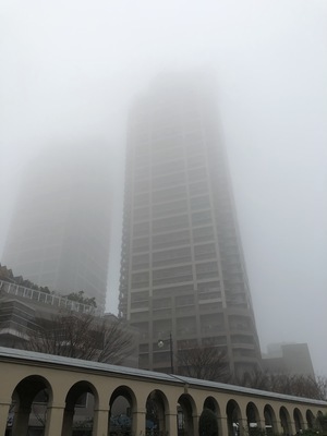 大阪堺市 濃霧