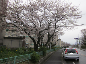 河内長野市千代田台町