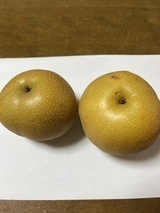 熊本の人吉の梨