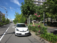 大阪府堺市北区東三国ヶ丘町